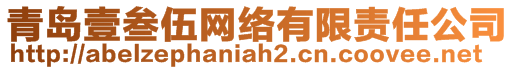 青島壹叁伍網絡有限責任公司