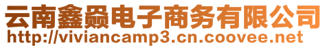 云南鑫赑電子商務(wù)有限公司