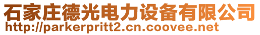 石家莊德光電力設(shè)備有限公司