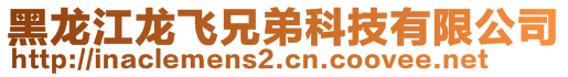 黑龍江龍飛兄弟科技有限公司