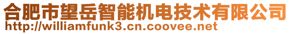 合肥市望岳智能机电技术有限公司