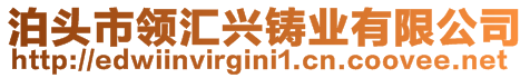 泊頭市領(lǐng)匯興鑄業(yè)有限公司