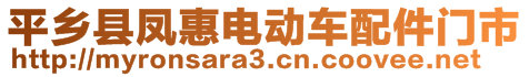 平鄉(xiāng)縣鳳惠電動車配件門市