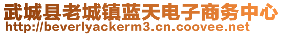 武城縣老城鎮(zhèn)藍(lán)天電子商務(wù)中心