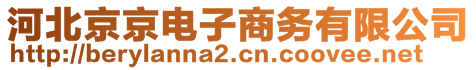 河北京京電子商務(wù)有限公司