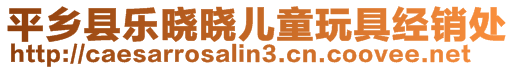 平鄉(xiāng)縣樂(lè)曉曉兒童玩具經(jīng)銷處