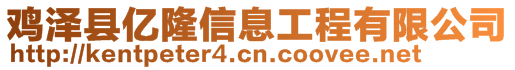 雞澤縣億隆信息工程有限公司