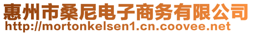 惠州市桑尼电子商务有限公司