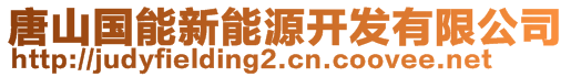 唐山國(guó)能新能源開發(fā)有限公司