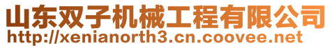 山東雙子機械工程有限公司