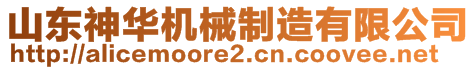 山东神华机械制造有限公司