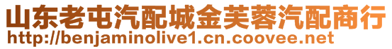 山東老屯汽配城金芙蓉汽配商行