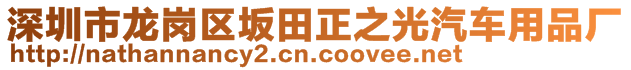 深圳市龙岗区坂田正之光汽车用品厂