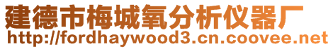 建德市梅城氧分析儀器廠