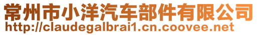 常州市小洋汽車部件有限公司