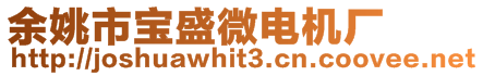 余姚市寶盛微電機廠