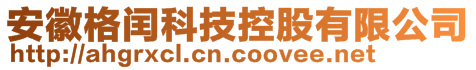 安徽格閏科技控股有限公司