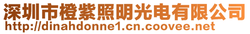 深圳市橙紫照明光電有限公司
