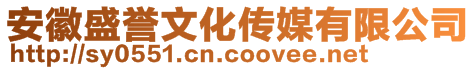 安徽盛譽(yù)文化傳媒有限公司