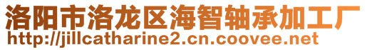 洛陽市洛龍區(qū)海智軸承加工廠