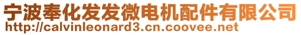 寧波奉化發(fā)發(fā)微電機配件有限公司