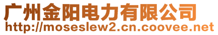 廣州金陽電力有限公司