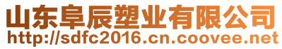 山東阜辰塑業(yè)有限公司