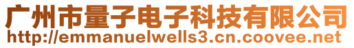 廣州市量子電子科技有限公司