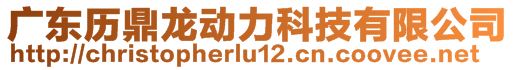 廣東歷鼎龍動(dòng)力科技有限公司