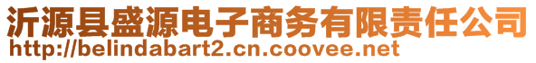 沂源县盛源电子商务有限责任公司