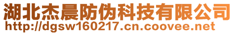 湖北杰晨防偽科技有限公司