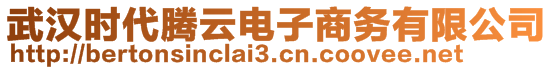 武漢時(shí)代騰云電子商務(wù)有限公司