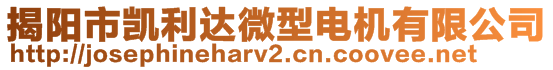 揭陽(yáng)市凱利達(dá)微型電機(jī)有限公司