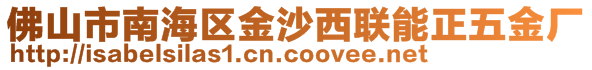 佛山市南海區(qū)金沙西聯(lián)能正五金廠