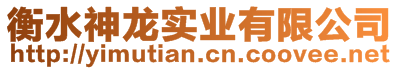 衡水神龍實(shí)業(yè)有限公司