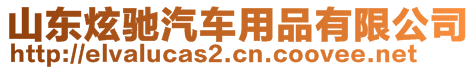 山东炫驰汽车用品有限公司