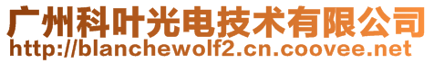 廣州科葉光電技術(shù)有限公司