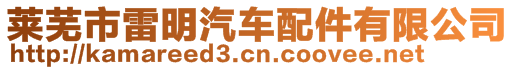 萊蕪市雷明汽車配件有限公司