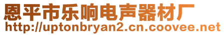 恩平市樂響電聲器材廠