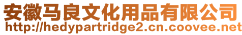 安徽馬良文化用品有限公司