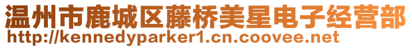 溫州市鹿城區(qū)藤橋美星電子經(jīng)營部