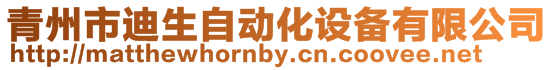 青州市迪生自動化設備有限公司