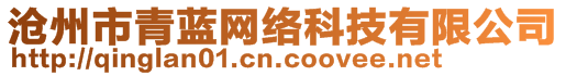 滄州市青藍(lán)網(wǎng)絡(luò)科技有限公司