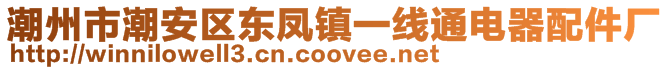 潮州市潮安區東鳳鎮一線通電器配件廠