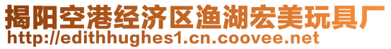 揭陽(yáng)空港經(jīng)濟(jì)區(qū)漁湖宏美玩具廠