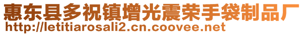 惠东县多祝镇增光震荣手袋制品厂