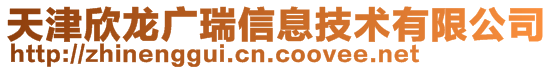 天津欣龍廣瑞信息技術有限公司