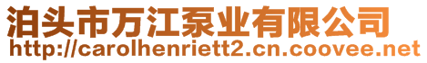 泊头市万江泵业有限公司