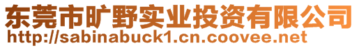 東莞市曠野實業投資有限公司