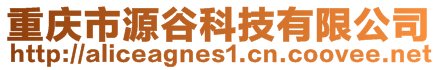 重慶市源谷科技有限公司